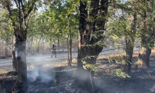 Incendiu de vegetație uscată în Parcul „Nicolae Romanescu” din Craiova