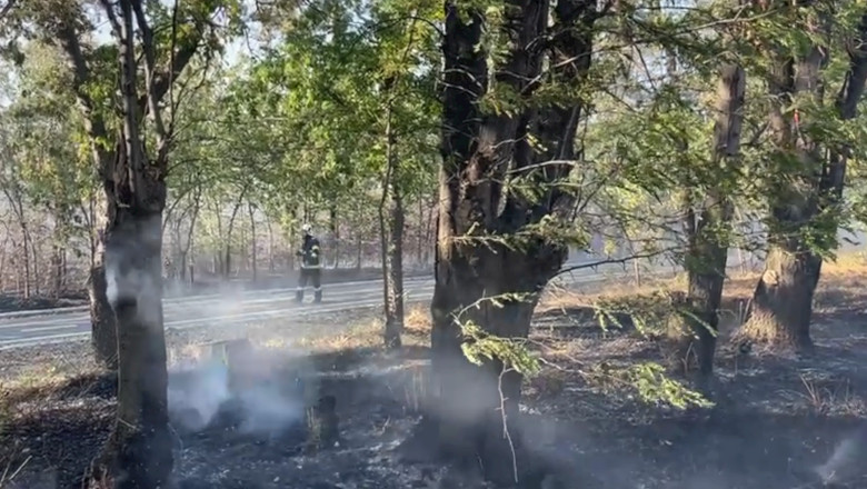 Incendiu de vegetație uscată în Parcul „Nicolae Romanescu” din Craiova