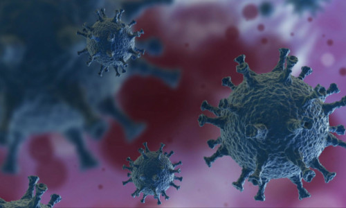 Coronavirus, COVID-19, SARS-CoV-2