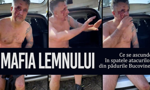 recorder mafia lemnului