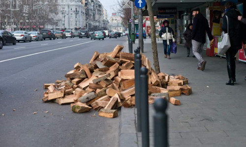 lemne bucuresti