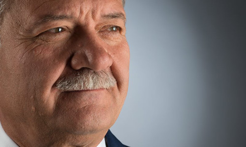 mircea hava