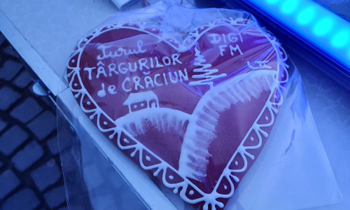 turul targurilor de craciun sfantu gheorghe lucian mindruta16