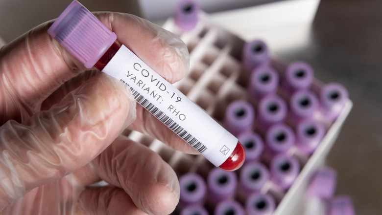 WHO covid-19 SARS variants of concern or interest of coronavirus, blood sample positive result for variant held in latex gloved hand