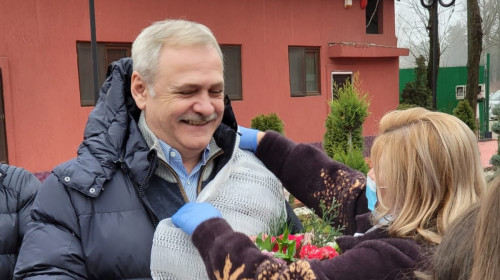 liviu dragnea teleorman