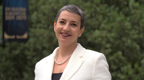 violeta vijulie