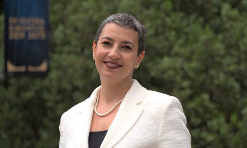 violeta vijulie