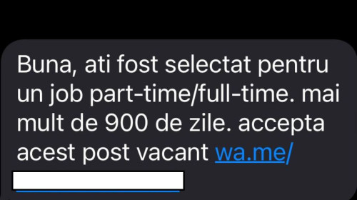 274132154_314918290668687_5135463871218346830_n