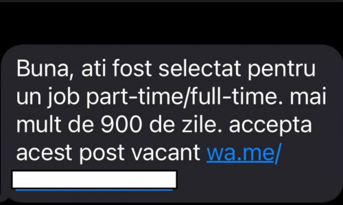 274132154_314918290668687_5135463871218346830_n