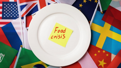 Sticker with text in a white plate on the background of the flags of different countries, the concept of the food crisis in the world
