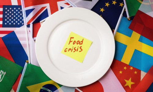 Sticker with text in a white plate on the background of the flags of different countries, the concept of the food crisis in the world