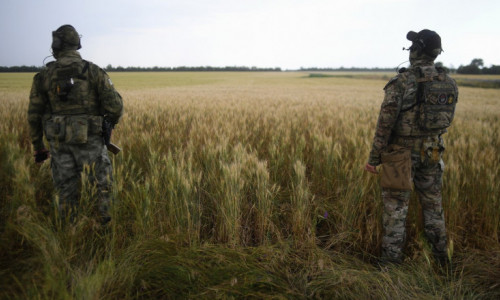 rusi lan de grau melitopol - profimedia