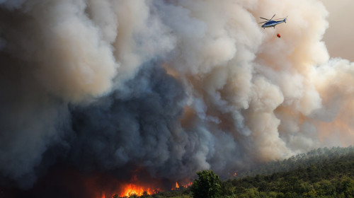 incendiu slovenia profimedia