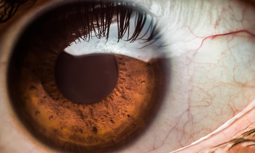 Macro close-up of a brown human eye, with veins, capillaries, iris, pupil and cornea