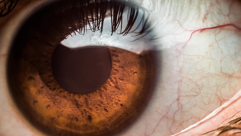 Macro close-up of a brown human eye, with veins, capillaries, iris, pupil and cornea