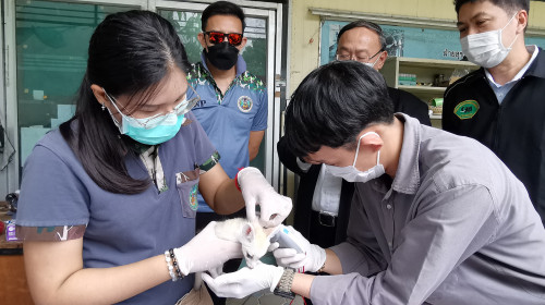 Serviciul pentru protecţia faunei şi al florei din Thailanda a descoperit mai multe animale în bagajul unui indian.