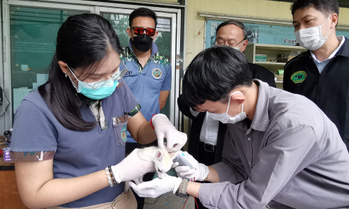 Serviciul pentru protecţia faunei şi al florei din Thailanda a descoperit mai multe animale în bagajul unui indian.