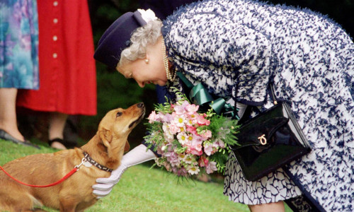 Queen Elizabeth II death