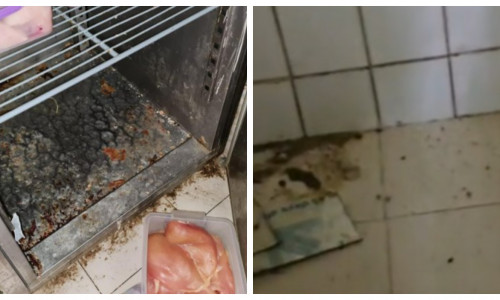 Insecte moarte şi alimente expirate într-un restaurant din București. Șeful ANPC: „Doamne ferește să avem o toxiinfecție sau cine știe ce mai rău!”