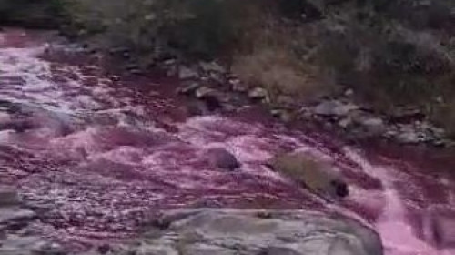 Râul Sălăuţa, plin de poluare/ Foto: Captură Youtube