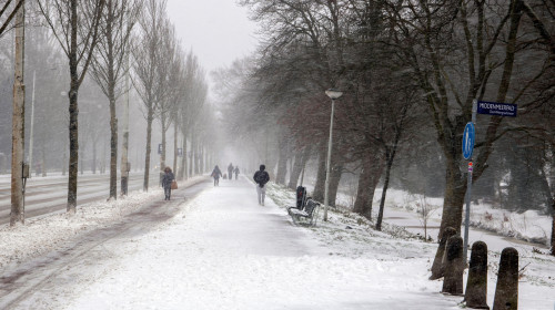 Snowy Wheater At The Middenweg Street At Amsterdam The Netherlands 7-2-2021