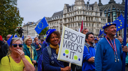 proteste londra împotriva brexit