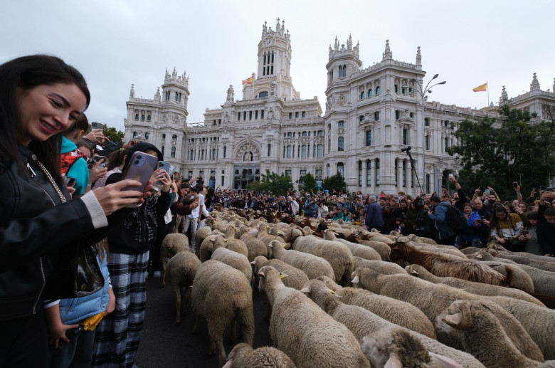 Oile au ocupat străzile orașului Madrid/ Profimedia