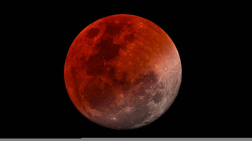 Eclipsa totală de Lună din 8 noiembrie/ Shutterstock