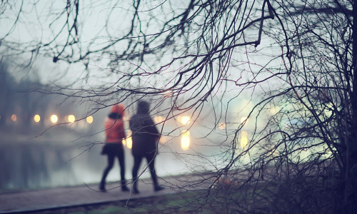 Background,Autumn,Park,Weather,Evening,,Walk,In,Seasonal,Weather,November