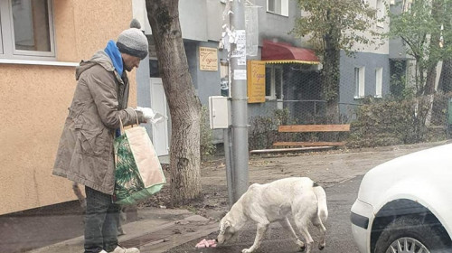 om al strazii hraneste un caine