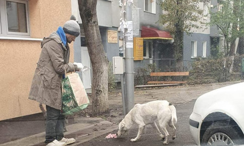 om al strazii hraneste un caine