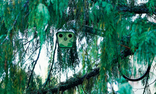 Speyer, Germany. 14th June, 2022. A surveillance camera hangs from a tree at the grave of former German Chancellor Helmut Kohl in Adenauerpark. Even five years after Helmut Kohl's death, people are drawn to the former chancellor's grave. Credit: Uwe Anspa