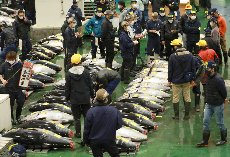 Tuna Fetches 36.04 M. Yen in New Year Auction in Tokyo