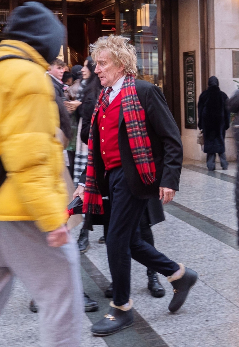 *EXCLUSIVE* WEB MUST CALL FOR PRICING - Penny Lancaster looks a million dollars in her jewellery whilst Christmas shopping with her hubby Rod Stewart!!!