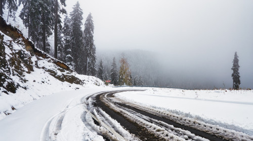 Snowy,Mountain,Road,,Romania.,Winter,Scenery-,Winter,Landscape,Theme.,Pine