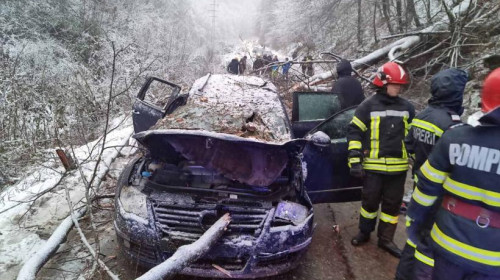 accident caras severin