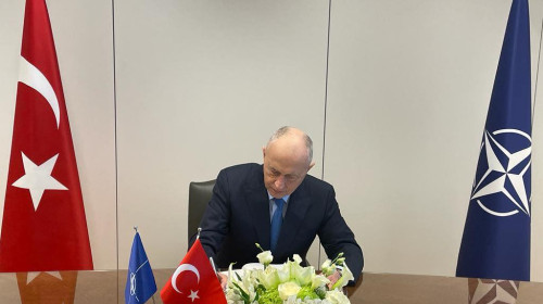 mircea geoana