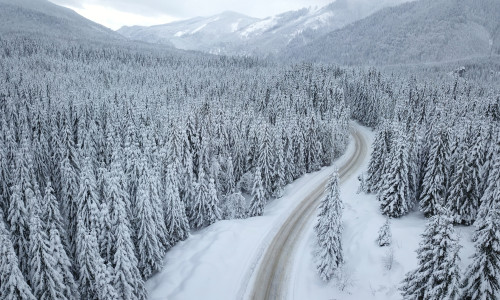 Aerial,Drone,View,Above,A,Forest,Road,Winding,Through,A