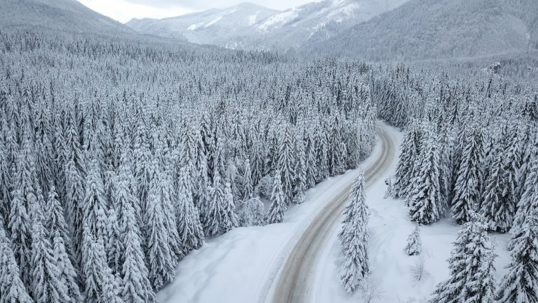 Aerial,Drone,View,Above,A,Forest,Road,Winding,Through,A