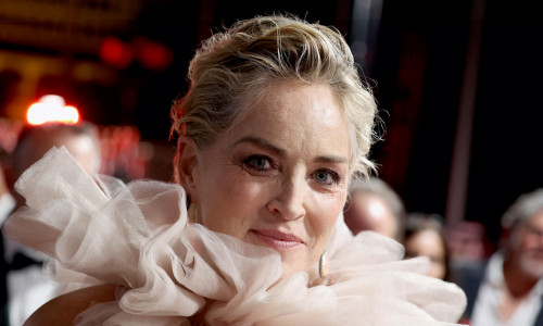 sharon stone profimedia-0741641437