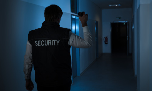 Rear,View,Of,A,Security,Guard,Standing,In,Corridor,Of