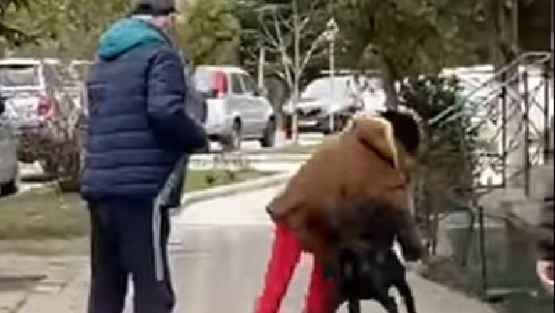 Femeie, atacată de un câine în Nehoiu/ Captură video