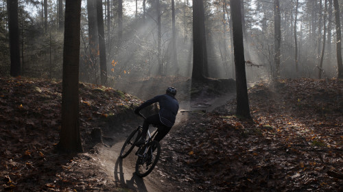 Un mountainbiker român, ucis de bicicletă/ Shutterstock