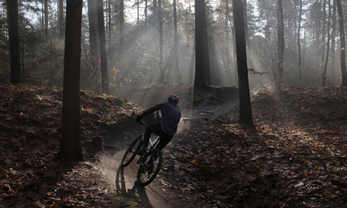 Un mountainbiker român, ucis de bicicletă/ Shutterstock