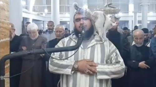 Momentul când o pisică a sărit pe un imam, în timpul unei slujbe de Ramadan/ Captură video