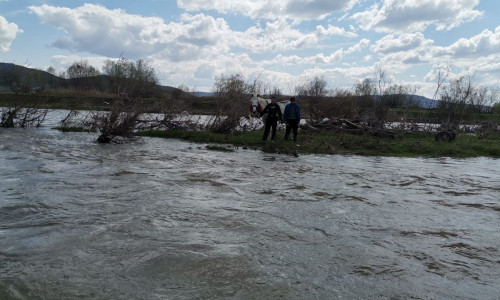 Doi tineri şi un cal, blocaţi pe o insuliță pe râul Mureş/ ISU Alba