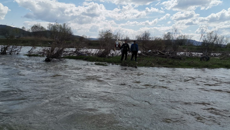 Doi tineri şi un cal, blocaţi pe o insuliță pe râul Mureş/ ISU Alba