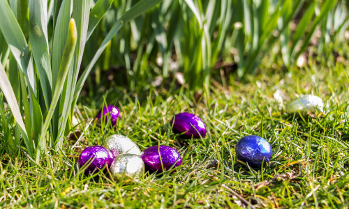 Easter,Eggs,In,Grass,,Sunny,Weather