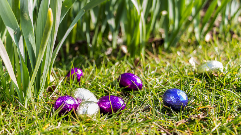Easter,Eggs,In,Grass,,Sunny,Weather