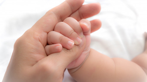 Close-up,Hand,Of,Baby,In,The,Hand,Of,Mother.